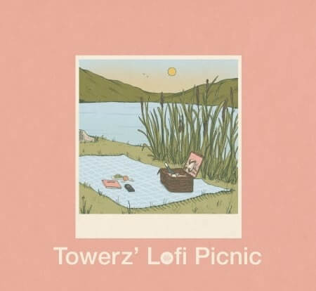 Soundsmiths Towerz' Lofi Picnic WAV